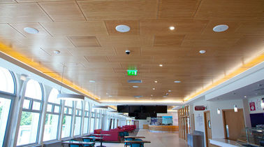 Los paneles perforados acústicos de madera incombustibles del MDF para la pared y el techo